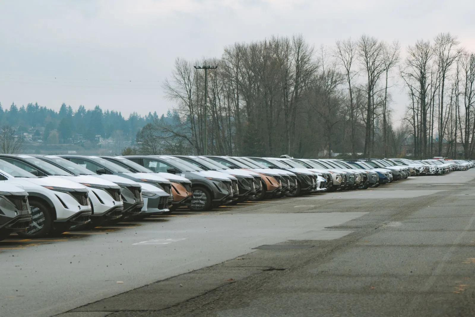A long row of cars parked in an outdoor lot on an overcast day with bare trees behind