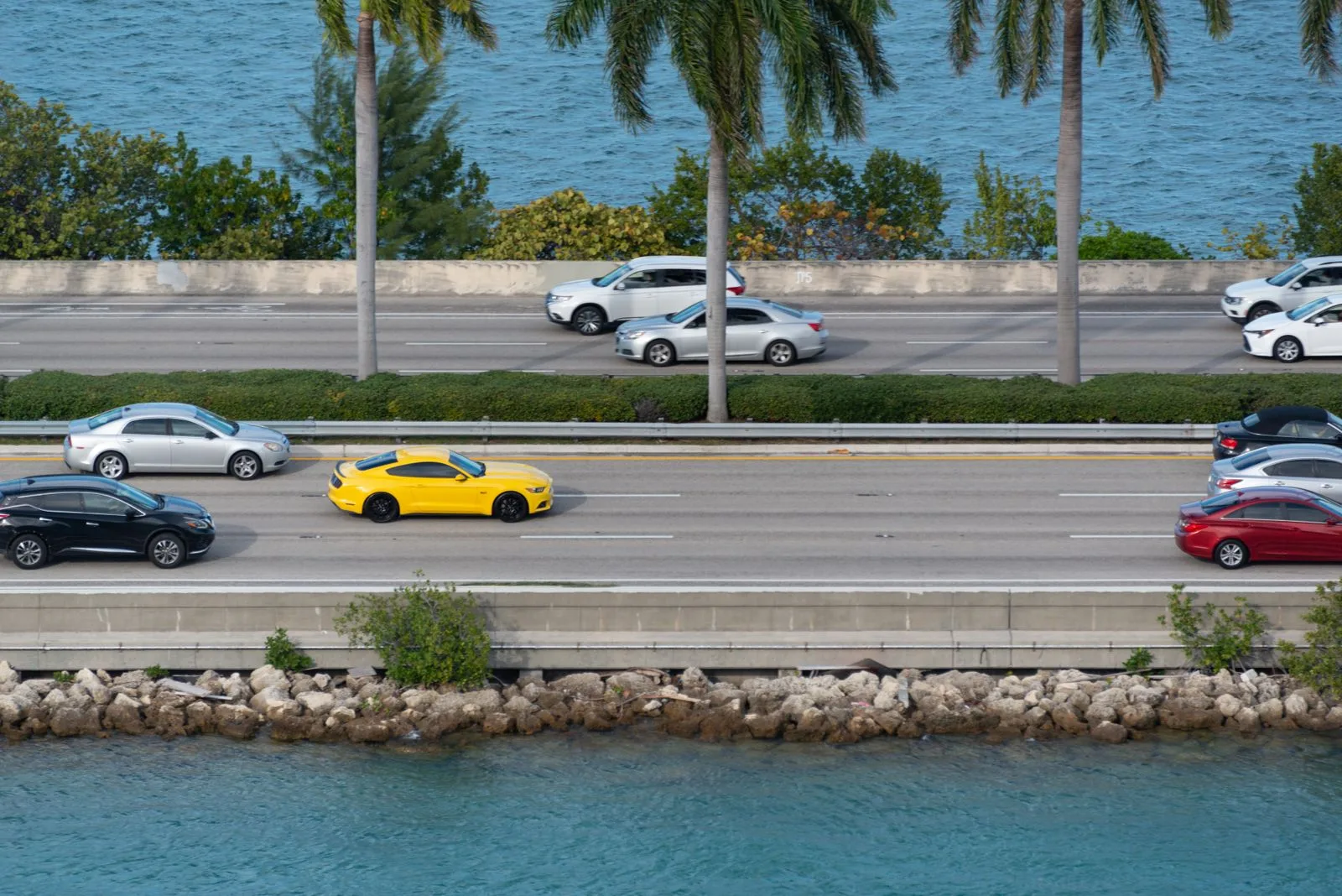 Traffic moving along a palm-lined Florida causeway beside blue water